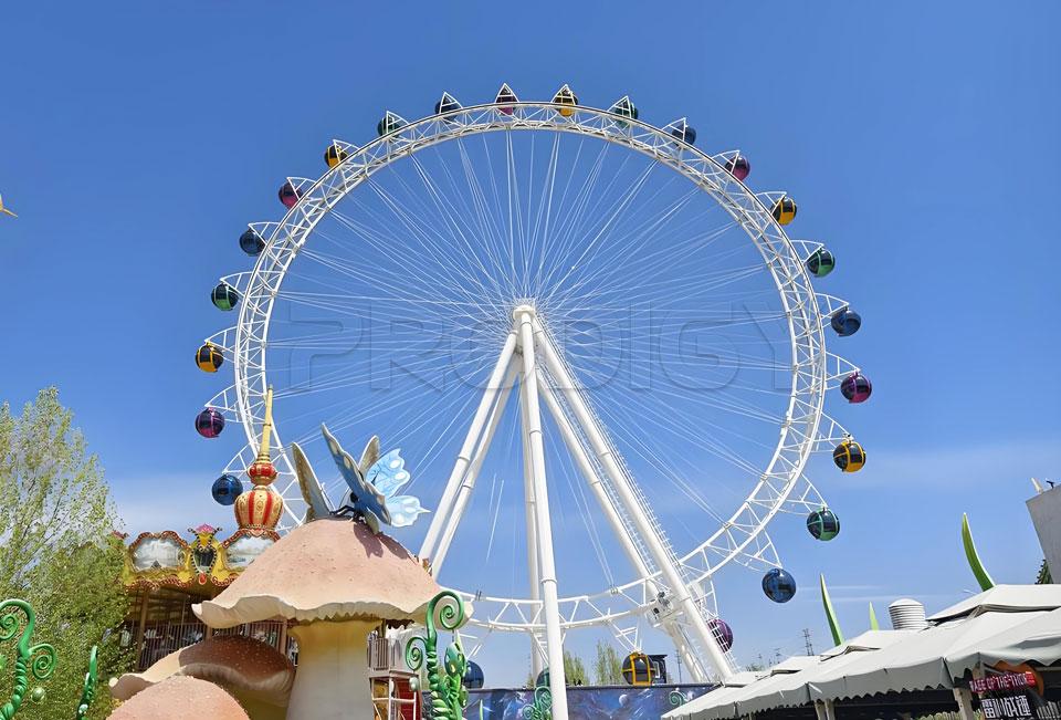 65m Giant Ferris Wheel