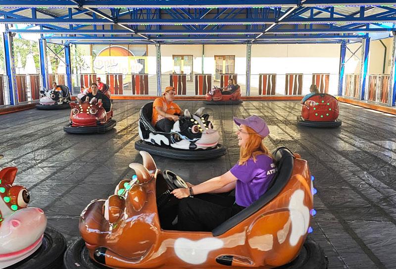 Cute Cow Bumper Cars