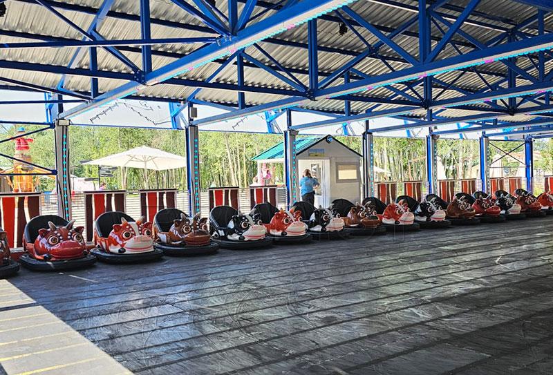 Cute Cow Bumper Cars