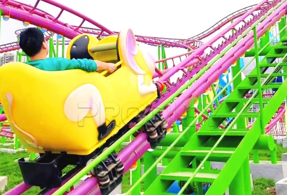 Wild Mouse Roller Coaster