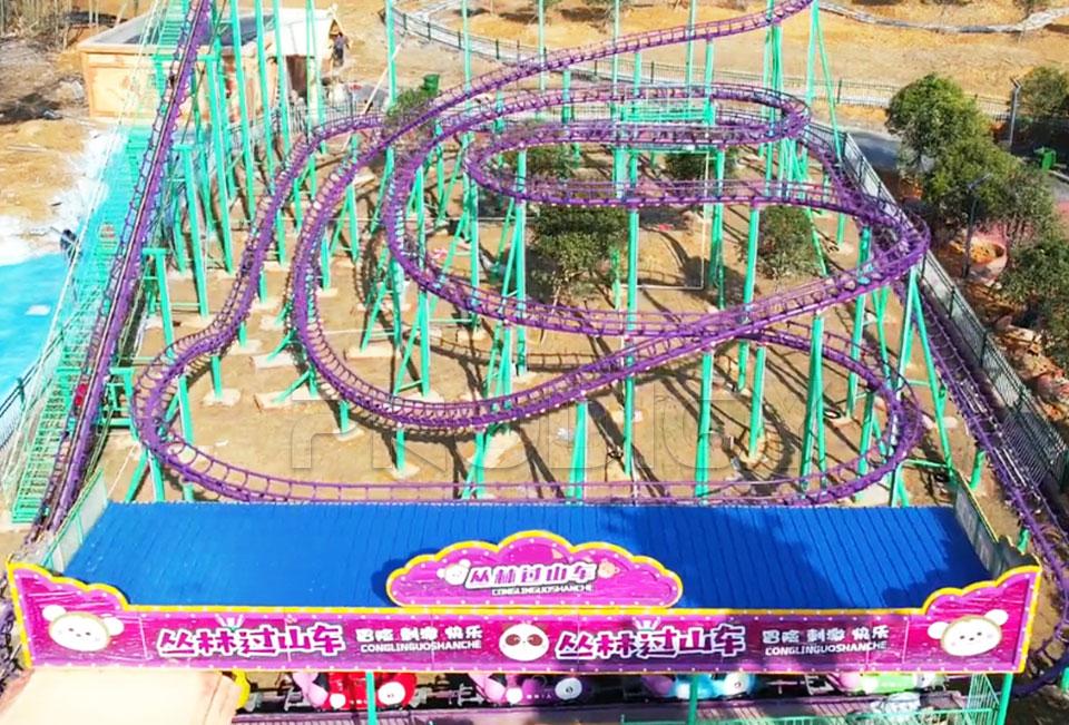 Wild Mouse Roller Coaster