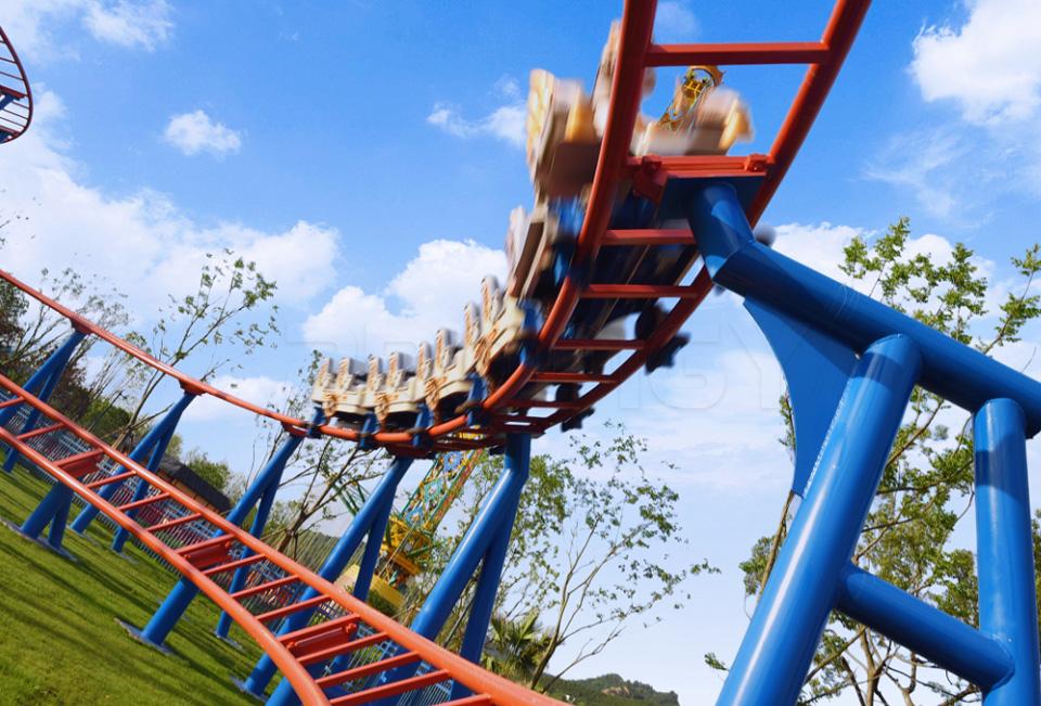 Family Roller Coaster