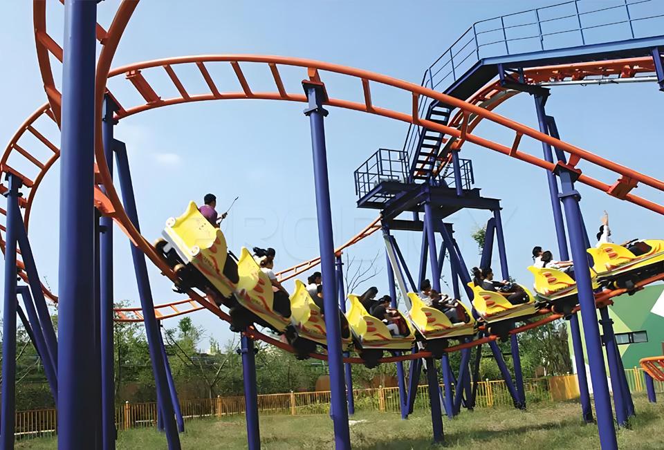 Family Roller Coaster